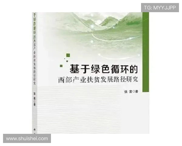 围绕现代足球俱乐部发展路径与社区融合模式创新策略研究多元化探讨
