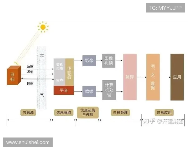 篮球运动如何引领城市青年体育与社交文化全面升级探索趋势前瞻研