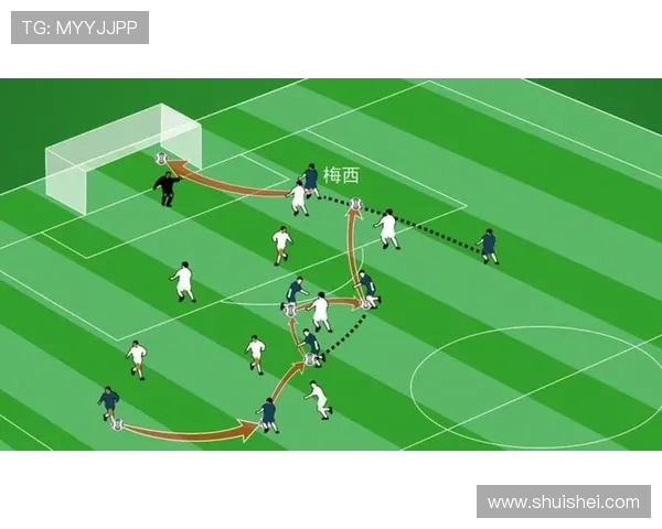 深入分析成都足球队的战术演变与转换打法的独特魅力