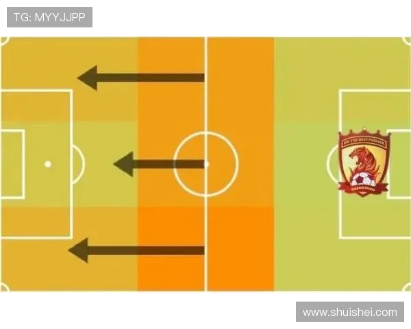 深圳排球队阵地战体系解析与战术创新探讨