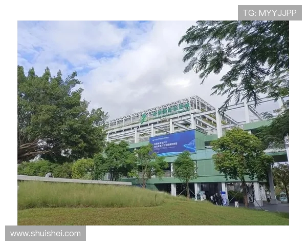 深圳篮球队在城市联赛中的个人能力分析与表现评估 深圳篮球队在城市联赛中的个人能力分析与表现评估