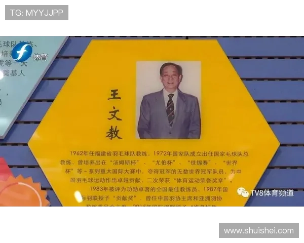 羽毛球精神：广州羽毛球队奋斗历程的真实记录与感悟