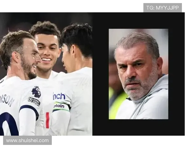 加的夫城与热刺对决前瞻分析及赛果预测解析 加的夫城与热刺对决前瞻分析及赛果预测解析